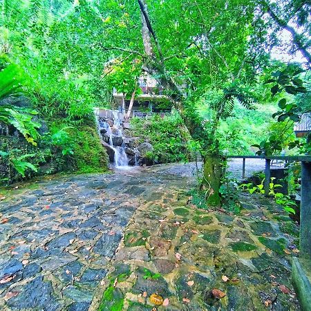Deraniyagala Forest Shade Eco Resort מראה חיצוני תמונה