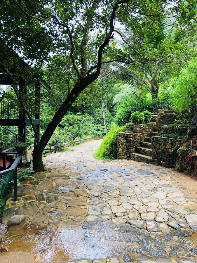 Deraniyagala Forest Shade Eco Resort מראה חיצוני תמונה