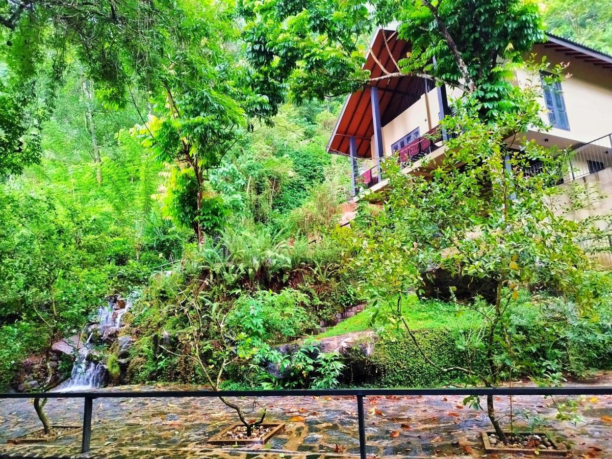 Deraniyagala Forest Shade Eco Resort מראה חיצוני תמונה
