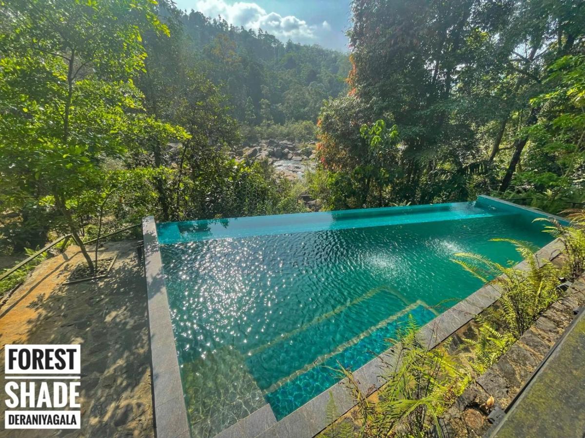Deraniyagala Forest Shade Eco Resort מראה חיצוני תמונה
