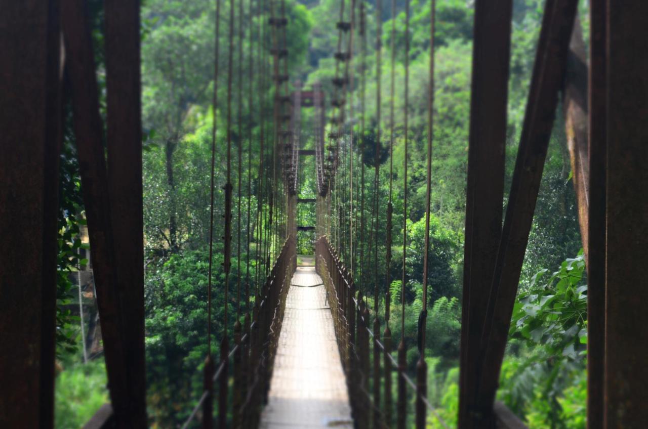 Deraniyagala Forest Shade Eco Resort מראה חיצוני תמונה
